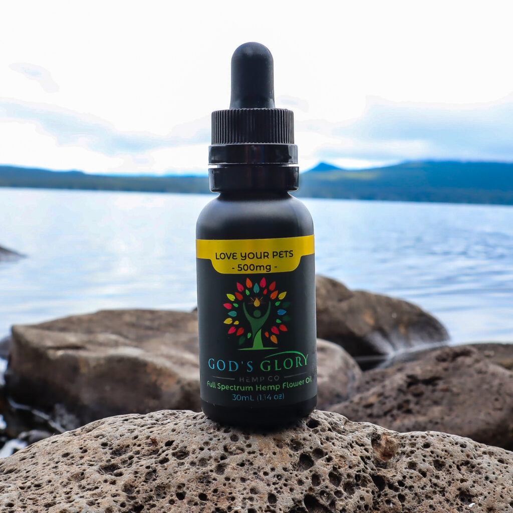 Love-Your-Pets-1024x1024