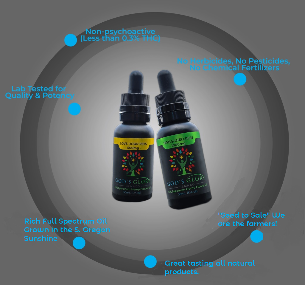 why choose God's Glory